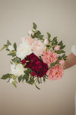 Mountain Peony