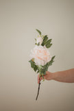 Mountain Peony