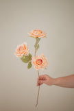 3 Blossom Rose Stem