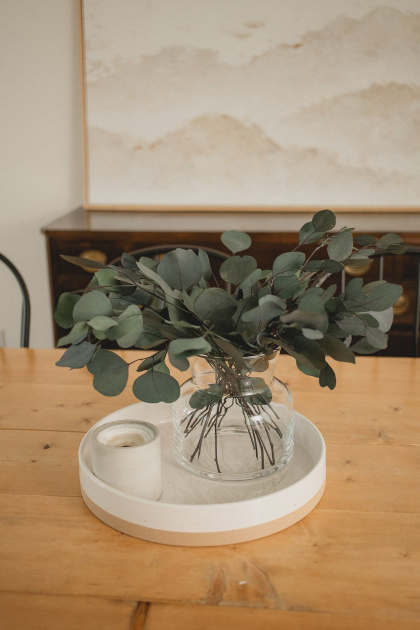 Italian Silver Dollar Eucalyptus