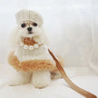 Dog Harness Hat and Leash Set | Designer Pet Set