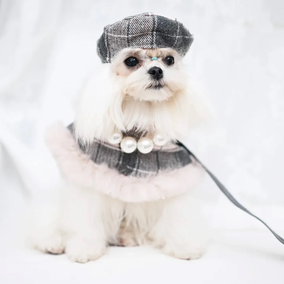 Peaky Street Tweed Dog Harness Set | Harness Hat and Leash Outfit