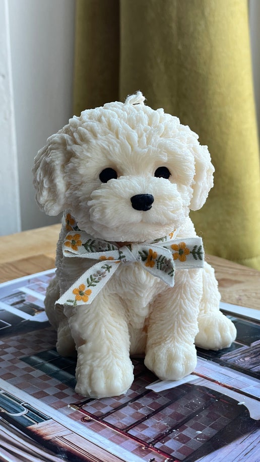 Puppy