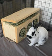 Boîte à foin pour lapins et cochons d'Inde