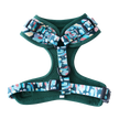 Adjustable Dog Harness Amazônia Tribe | Lila Pawtique