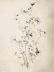 Ombres Florales 2, CADRE VINTAGE