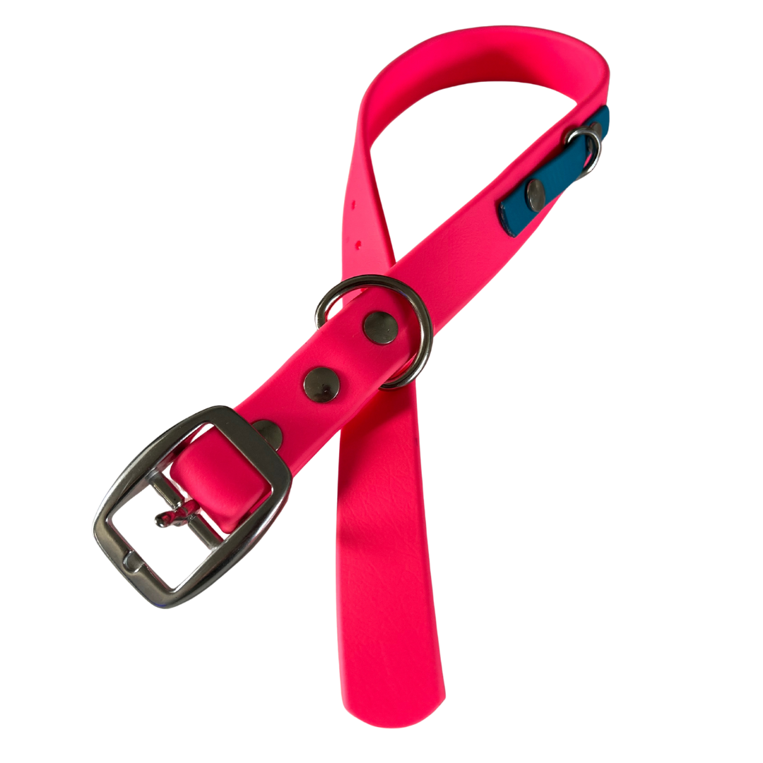 Promo Spéciale sur le Collier standard 1