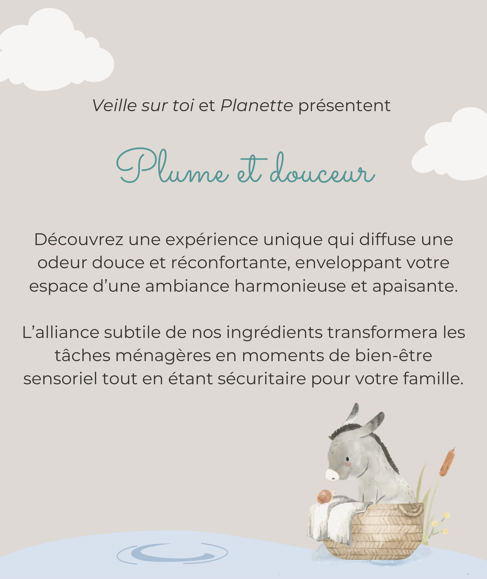 Cleaning line - All-purpose cleaner for toys and accessories - 500 ml - Box of 8 - Veille sur toi & Planette