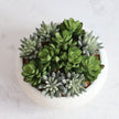 Zed Faux Succulent Arrangement in Low White Pot 7.1