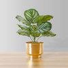 Calathea Faux Potted Plant