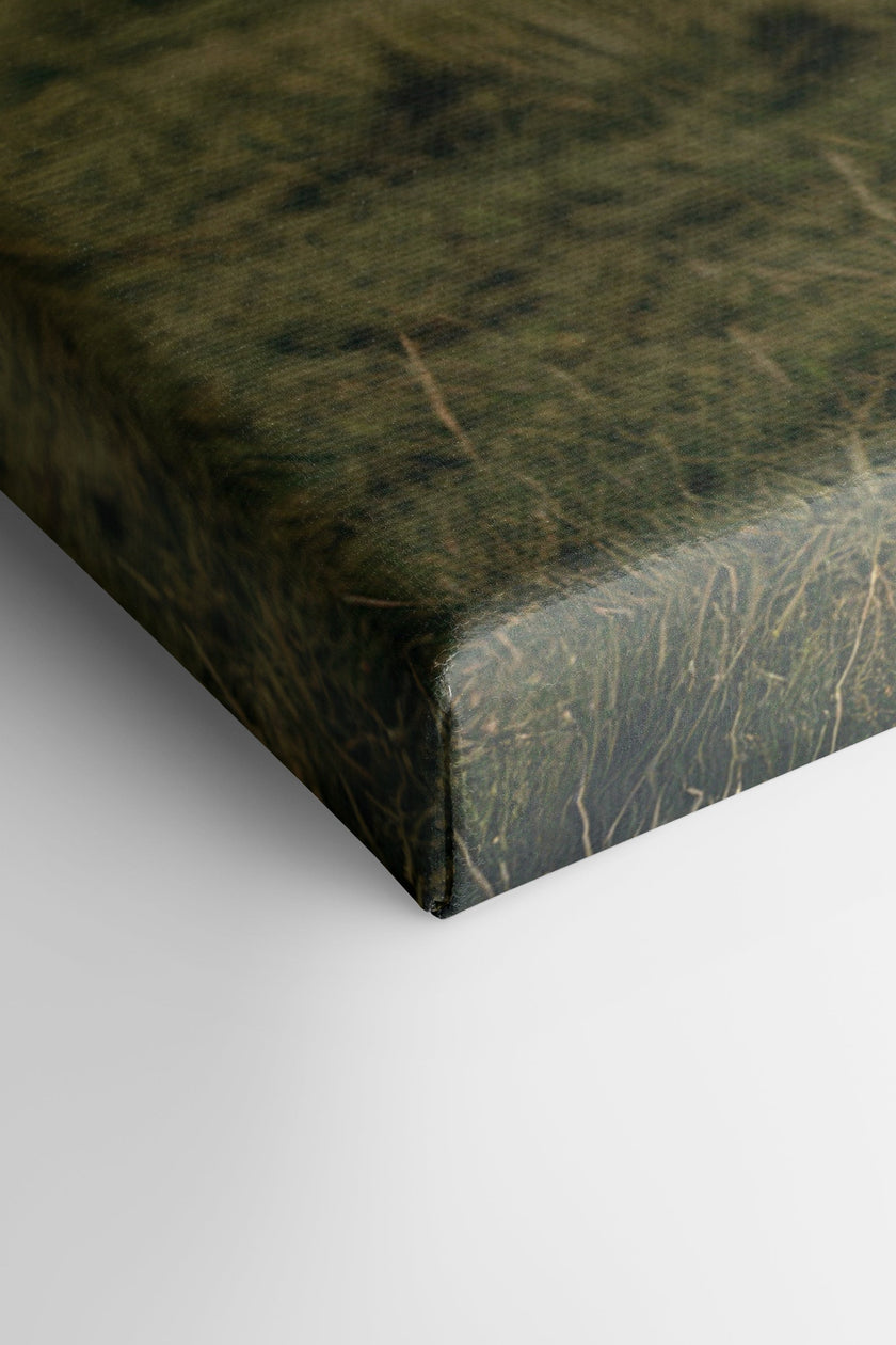 SPIRIT OF THE MEADOW, Oeuvre sur toile étirée