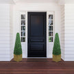 Mayer Potted Boxwood Topiary Plant (Multiple Sizes)