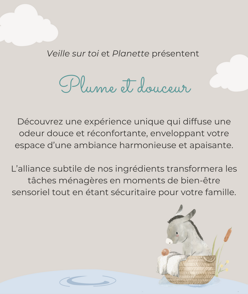 Cleaning line - Air freshener - 125 ml - Box of 6 - Veille sur toi & Planette