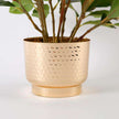 Moreno Potted Faux Watercress Plant