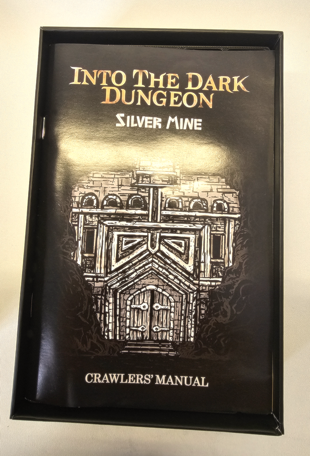 Into The Dark Dungeon - Insert