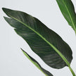Boho Artificial Bird Of Paradise Potted Plant 43''