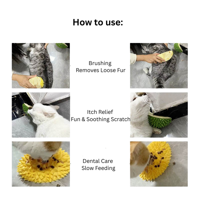 Durian Cat Rubbing Ball (Green color)  – Slow Feeder & Itch Relief Toy