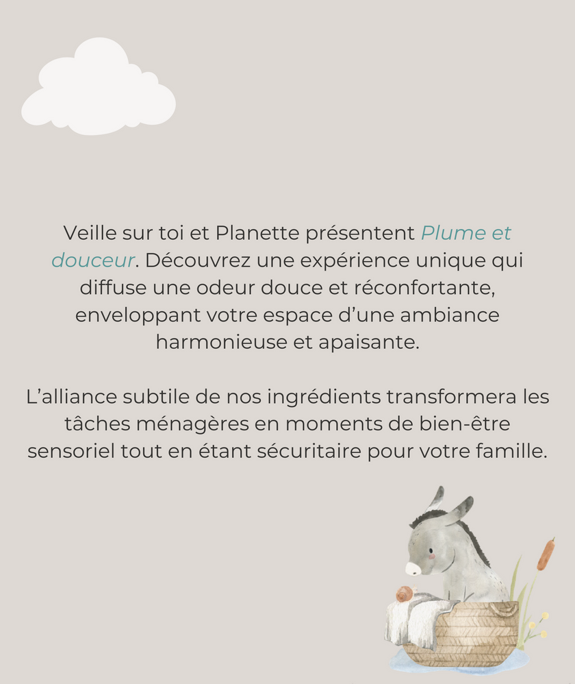 Cleaning line - Delicate detergent - 1L - Box of 6 - Veille sur toi & Planette