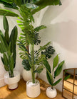 Lazaro White Cement Planter 13''
