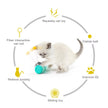 Pet Interactive Wobble Squeaky Toy