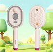 Mist Spray Airbag Massage Comb – Electric Hair Nourishing Brush with Essential Oil Atomization