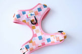 Dog Adjustable Harness Vik Fiesta | Lila Pawtique
