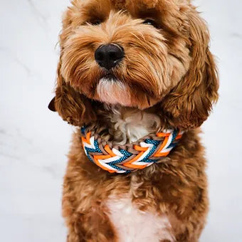 Lila Pawtique Macrame Style Adjustable Dog Collar Tribal