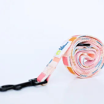 Lila Pawtique Fabric Leash Vik Fiesta for Dogs