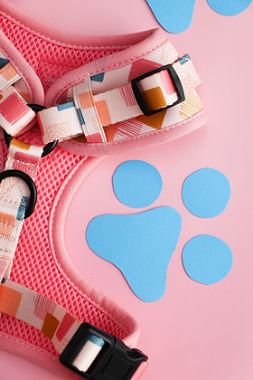 Dog Adjustable Harness Vik Fiesta | Lila Pawtique