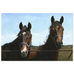 The Visit - Fine Art Print