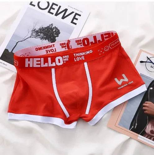 Men's Cotton  Boxer Briefs Trendy Breathable Low waist underwear