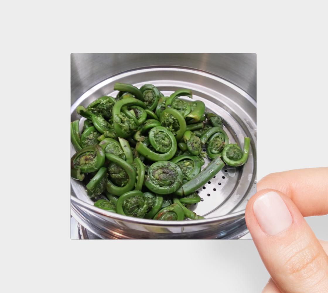 Sticker | 3 x 3 | Fiddleheads