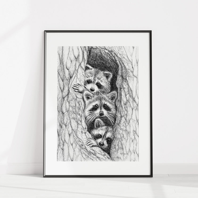 3 Raccoons in a tree - animal art print