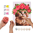 OKTO - OKTO & IDEYKA - BEAUTIFUL KITTY