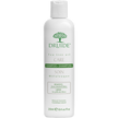 DRUIDE Laboratories - Tea Tree Oil Shampoo (250ml)