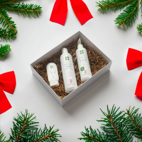 DRUIDE Laboratories - Pur Pure Holiday Kit (1box)