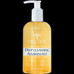 DRUIDE Laboratories - Tea Tree Deep Cleansing Soap (250ml)