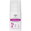 DRUIDE Laboratories - Floralescent Deodorant (65ml)