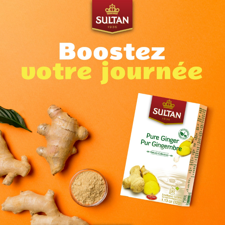SULTAN Tisane Pure Ginger - 5 Pack (20 Bags Each)