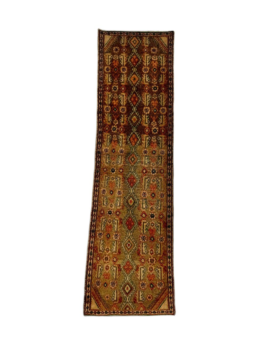 Persian Borujerd Runner Rug | 1' 10” x 6' 5