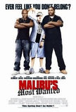 Le Truand De Malibu (Plein Écran) - DVD