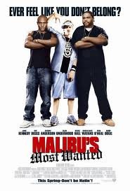 Le Truand De Malibu (Plein Écran) - DVD