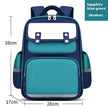 Kids Schoolbag Grade 1-3-6 Spine Protection Backpack