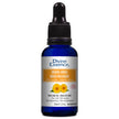 Divine Essence - Arnica Oil (Organic) (30ml)