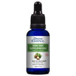 Divine Essence - Tamanu (Organic) (30ml)