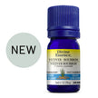 Divine Essence - Vetiver Bourbon (Conventional) (5ml)