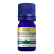 Divine Essence - Petitgrain Mandarin (Conventional) (5ml)