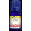 Divine Essence - Carrot (Organic) (5ml)