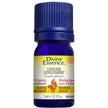 Divine Essence - Ginger (Organic) (5ml)
