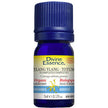 Divine Essence - Ylang Ylang Totum (complete) (Org) (5ml)